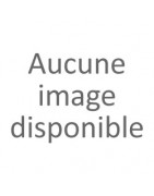 Livre coquillage